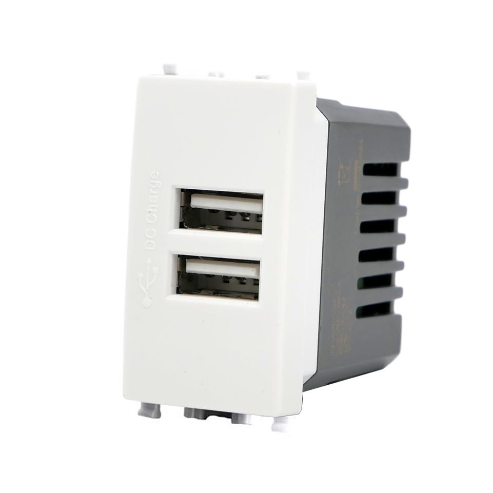 DOPPIA PRESA USB 2A 621B/VMR-PLN BIANCO                                                                                 