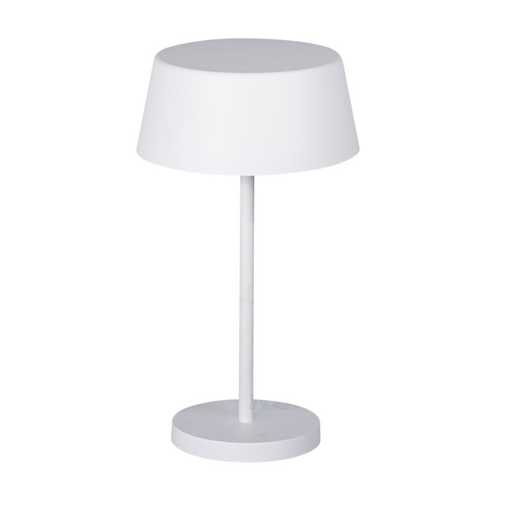 DAIBO LED T-W                                                                                                           